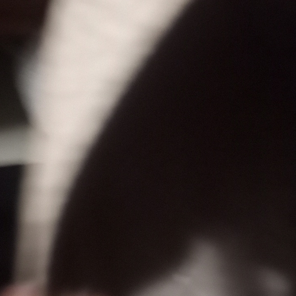 Purse - Picture 5 of 5